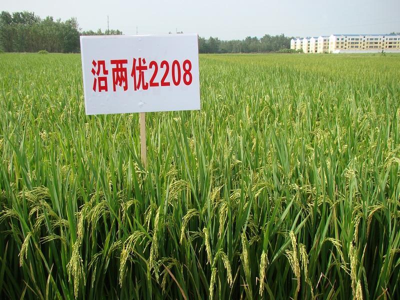 中国农业真正的龙头:六大农业企业,农业引领未来