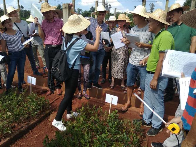 2018年海南省林木种苗生产经营档案管理培训班成功举办